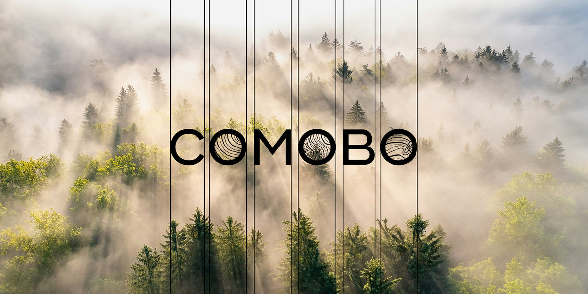 Logo COMOBO superposé sur une vue aérienne d'une forêt de conifères enveloppée de brume matinale, avec des rayons de lumière traversant les arbres
