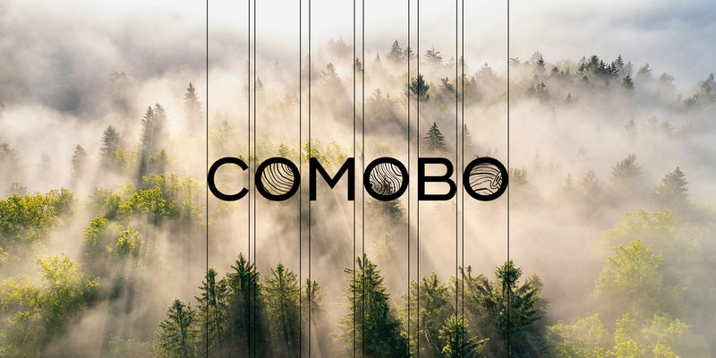 Logo COMOBO superposé sur une vue aérienne d'une forêt de conifères enveloppée de brume matinale, avec des rayons de lumière traversant les arbres