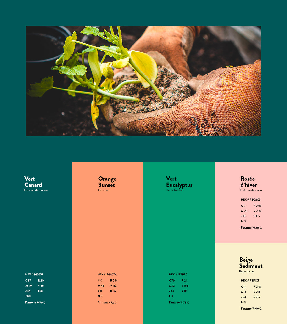 Palette de couleurs Félix Richy Paysage avec nuances de vert, orange et beige, illustrant l’identité visuelle naturelle d’un paysagiste inspirée du végétal.