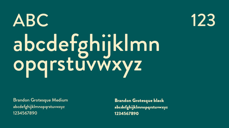 Présentation de la typographie utilisée pour l’identité visuelle Félix Richy Paysage, avec alphabet et styles illustrant un univers moderne et naturel.
