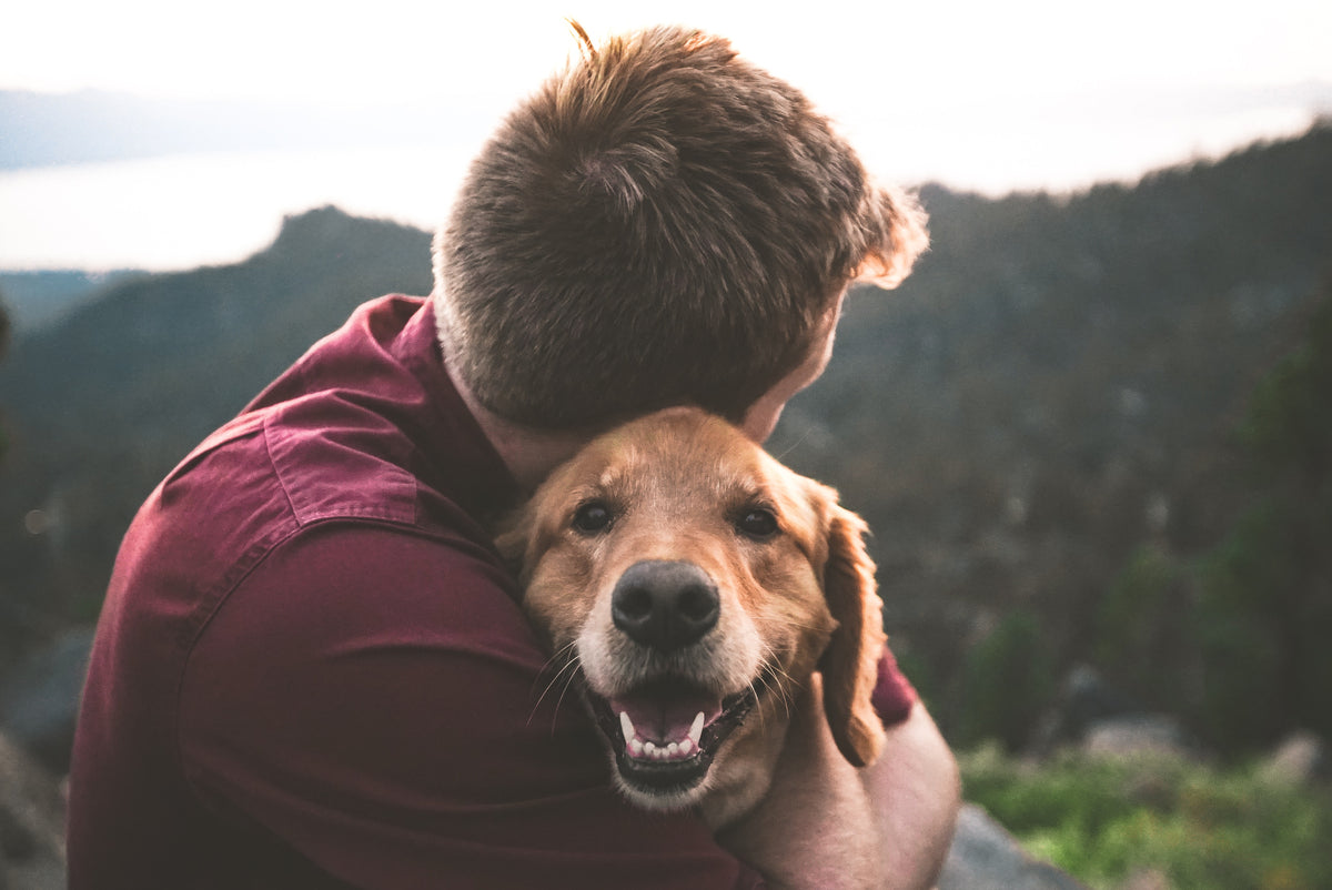 Homme tenant son chien dans les bras en pleine nature, illustrant le bien-être animal et la relation de confiance favorisée par une alimentation saine et durable.
