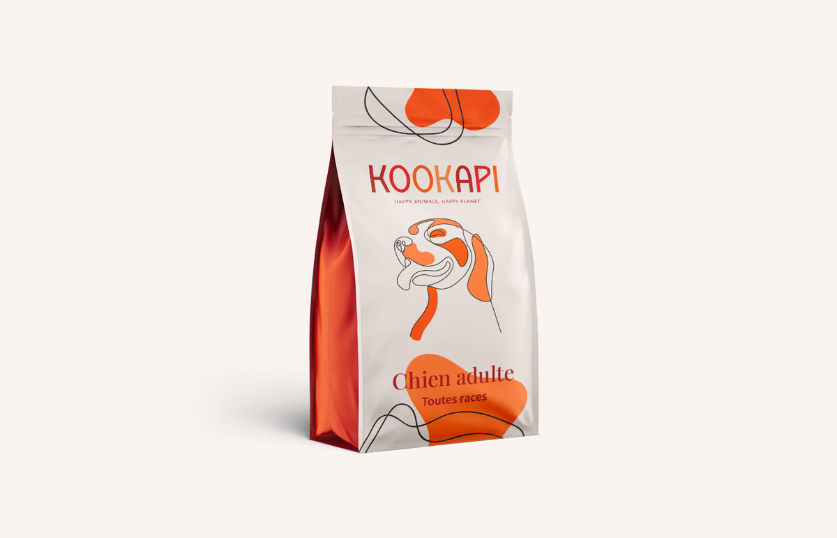 Sachet de croquettes Kookapi pour chien adulte à base de protéines d’insectes, illustrant une alimentation innovante et respectueuse de l’environnement.