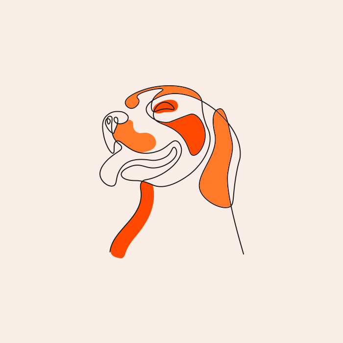 Illustration minimaliste de tête de chien en lignes et aplats orange, représentant l’identité visuelle moderne de la marque Kookapi spécialisée en alimentation canine durable.