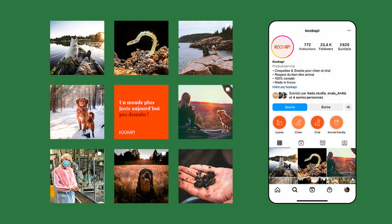 Feed Instagram de Kookapi présentant son univers de marque, ses croquettes pour chiens à base d’insectes et ses engagements pour le bien-être animal et l’environnement.