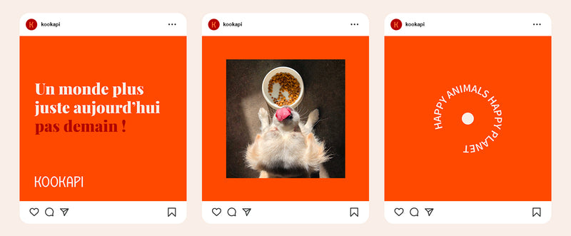 Série de posts Instagram Kookapi avec visuels de chien, message engagé et identité graphique, valorisant une alimentation canine durable à base de protéines alternatives.