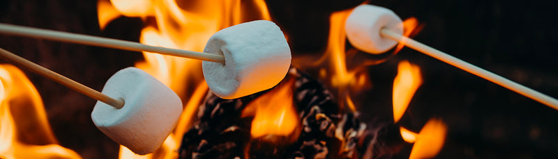 Guimauves grillées au feu de camp lors d’une activité de colonie de vacances pour enfants, moment convivial en pleine nature dans l’univers du camp Hakuna.