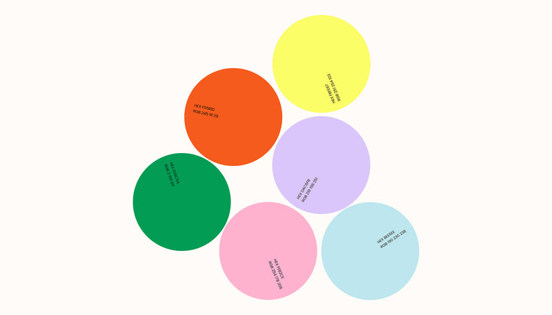 Palette Ness School : orange, jaune, vert, lavande, rose et bleu clair, présentés sous forme de cercles.