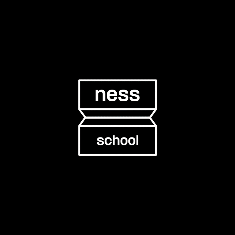 Logo Ness School sur fond coloré aléatoire