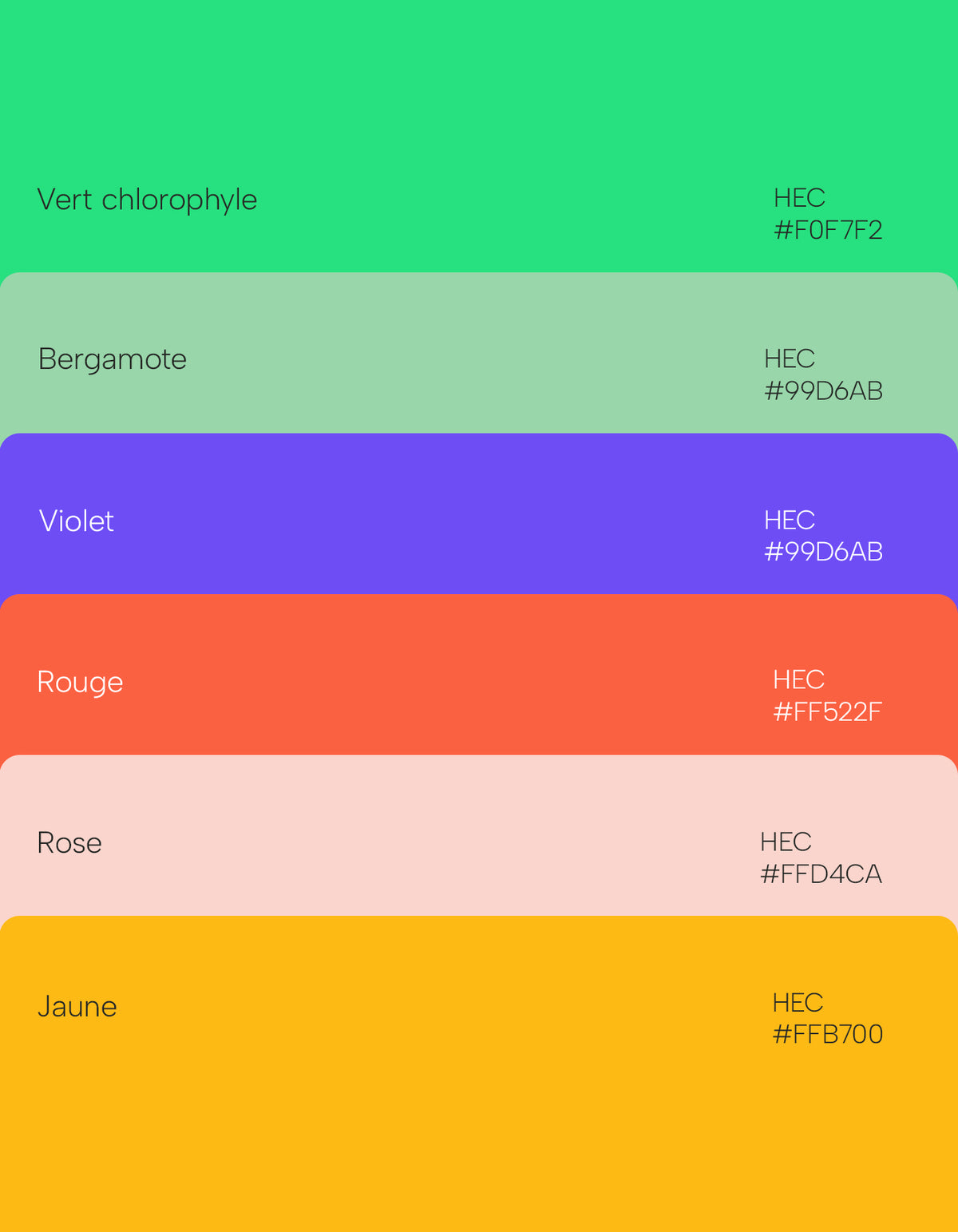 Nuancier de couleurs d’identité visuelle comprenant vert chlorophylle, bergamote, violet, rouge, rose et jaune avec leurs codes hexadécimaux.