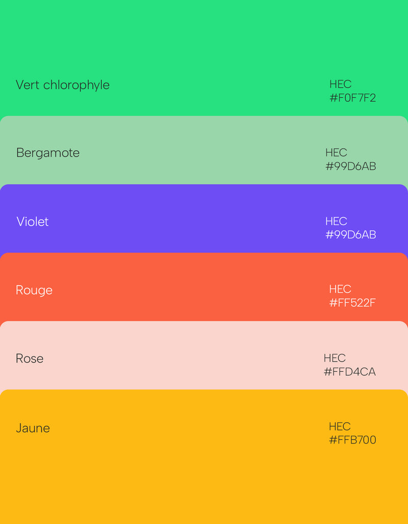 Nuancier de couleurs d’identité visuelle comprenant vert chlorophylle, bergamote, violet, rouge, rose et jaune avec leurs codes hexadécimaux.