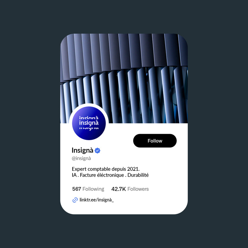 Profil Instagram d'Insignà avec photo de couverture, bio et nombre d'abonnés.