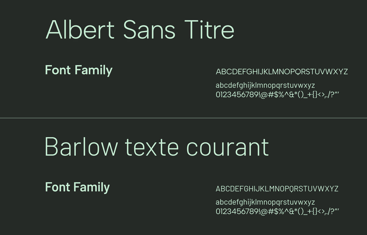 Présentation des typographies Albert Sans et Barlow utilisées dans une charte graphique avec alphabet, chiffres et caractères spéciaux.